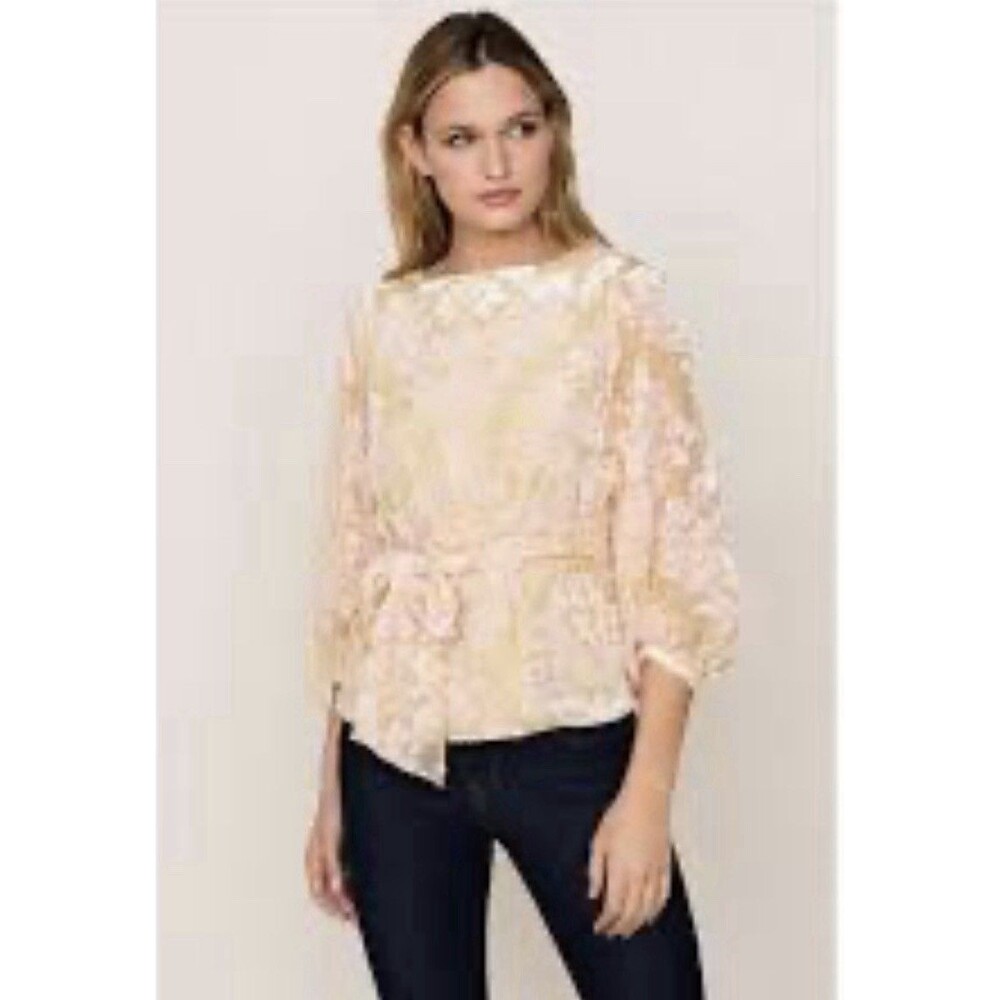 Yumi Kim Kiss & Tell Top Blush Burn Out Velvet Blouse Romantic Balletcore Sz XS